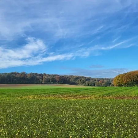 Ut Zuuje ファルケンブルフ